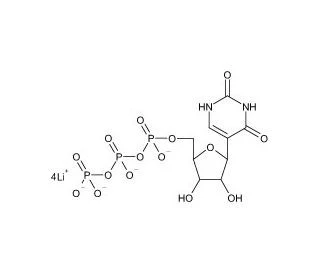 CAS:1175-34-4|Larutan Berair Pseudouridine 5'-Trifosfat