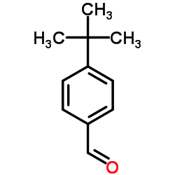 CAS:939-97-9|4-tert-Butylbenzaldehyde