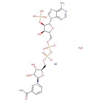 CAS:1184-16-3|B-Nicotinamide Adenine Dinucleotide Phosphate Sodium Salt
