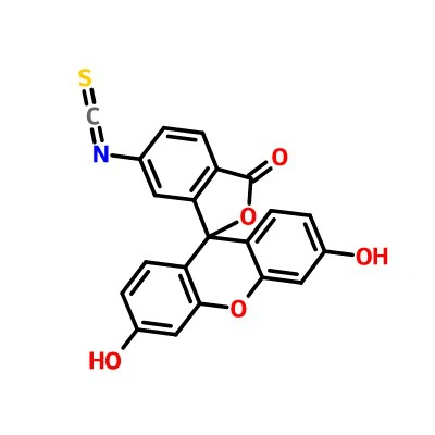 CAS:18861-78-4|Fluorescein 6-Isothiocyanate(isomer II)