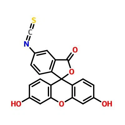 CAS:3326-32-7|Fluorescein 5-Isothiocyanate (isomer I)