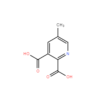 CAS 53636-65-0|5-Methylpyridine-2,3-Asid dikarboksilik
